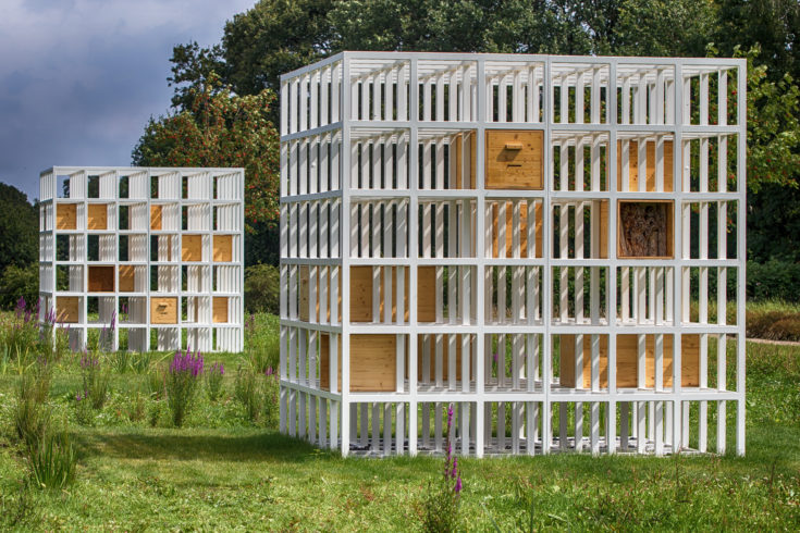 The Insect Societies (part 1) | Henrik Hakansson