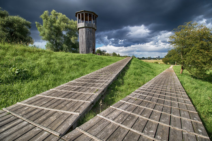 Walkway and Tower | Tadashi Kawamata