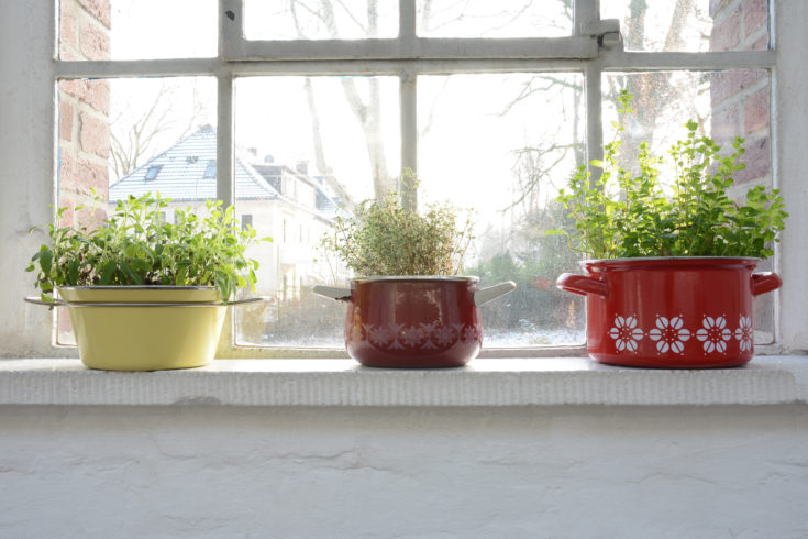 „Kräuter in Emailletöpfen“, 2019, Pfefferminze, Thymian, Salbei, Emailletöpfe, Maße links: ca. 25 x 30,5 x 22 cm, Mitte: ca. 27 x 26 x 17 cm, rechts: ca. 30 x 28 x 22 cm, © Sylvie Hauptvogel, Foto: Sylvie Hauptvogel