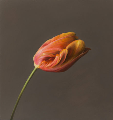 Tulpe I, 2019, Öl auf MDF, 31 x 30 cm