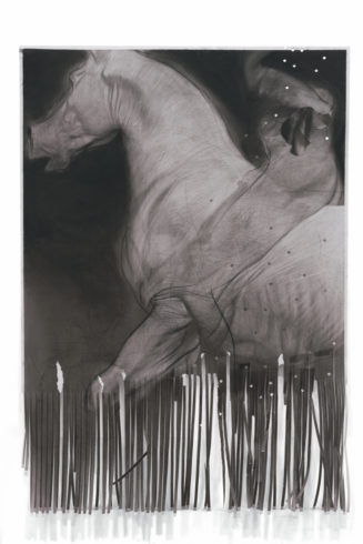 The Advant Garde, 2018, Kohle auf Papier, 100 x 70 cm © Ruprecht von Kaufmann, Foto: Stefan Maria Rother, Berlin