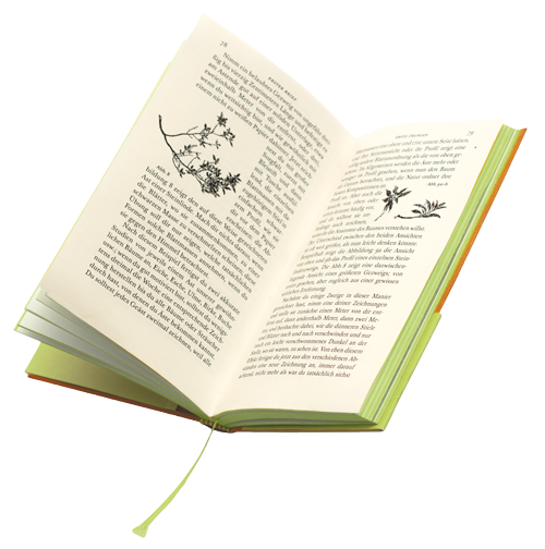 Innenansicht John Ruskin Grundlagen des Zeichnens