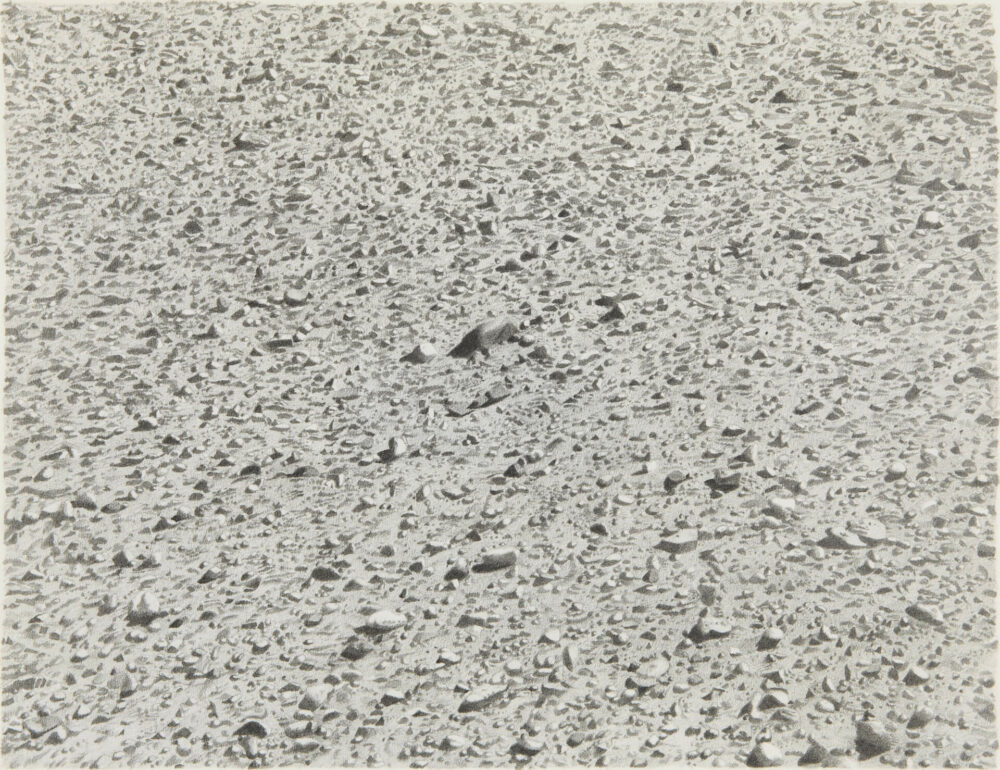 Vija Celmins, Untitled (Regular Desert), [Ohne Titel (Gleichmäßige Wüste), 1973, Grafit auf Acrylgrund auf Papier, 30,5 x 38,1 cm Privatsammlung, © Vija Celmins, Courtesy Matthew Marks Gallery, Foto: Kent Pell