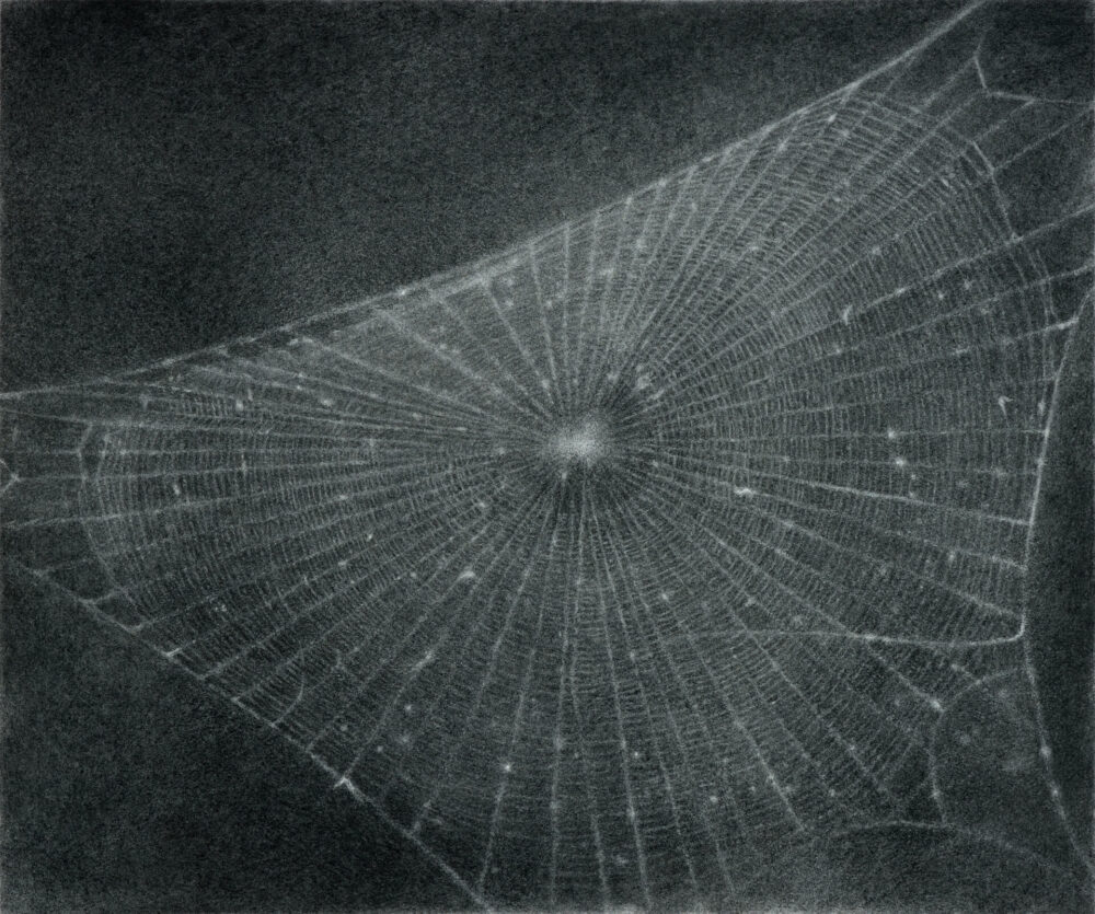 cm Tate, ARTIST ROOMS gemeinsam erworben mit den National Galleries of Scotland durch die d‘Offay Schenkung mit Unterstützung des National Heritage Memorial Fund und des Art Fund 2008, © Vija Celmins, Courtesy Matthew Marks Gallery, Foto: Tate