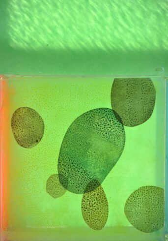 Ina Riepe - Malen auf Acrylglas 06