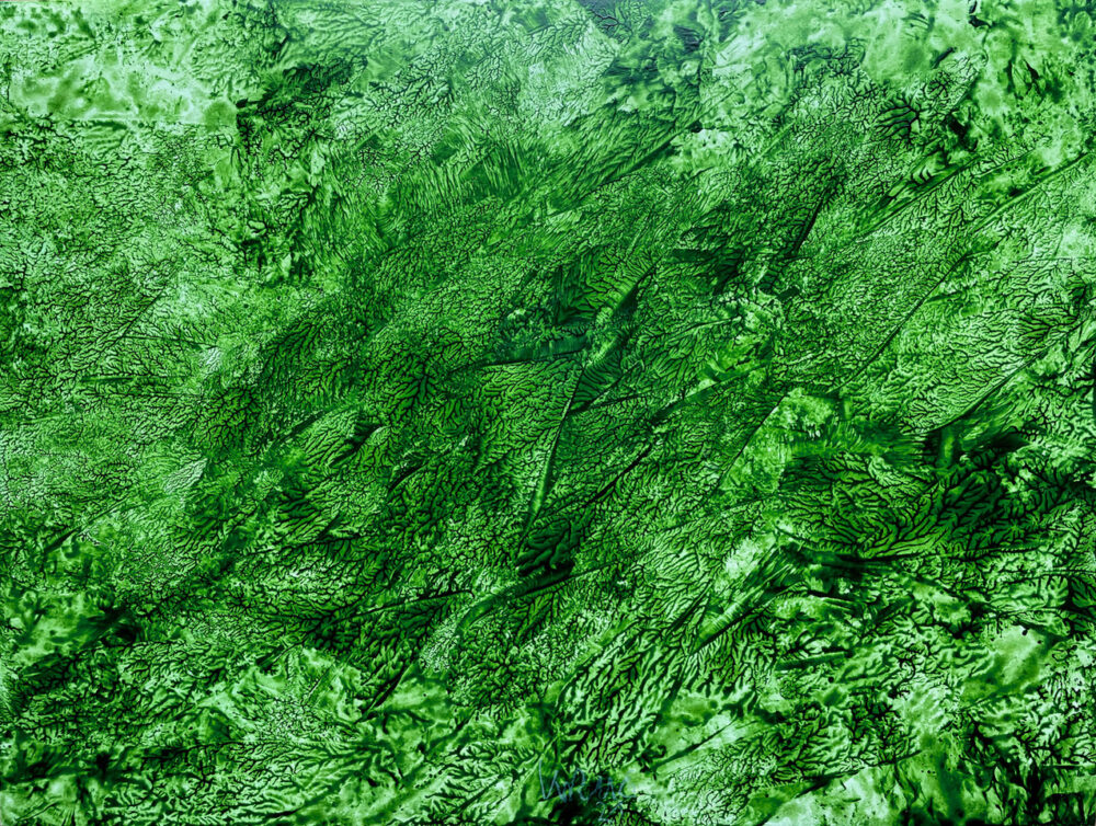 Gesso 13 (Blätter-Verwehung), 2021, Acryl, Farbstift auf Holz, 30 x 40 cm