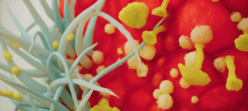 Screenshot aus dem Video „ Barbara Koch - Sweet Poison“, aus der Reihe „boesner.LEBEN“ produziert von Fynal