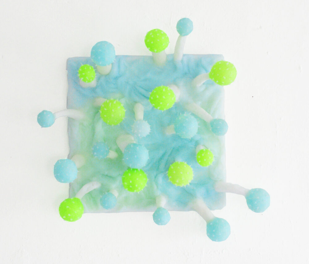 Barbara Koch, Lab Sweets #9, 2009