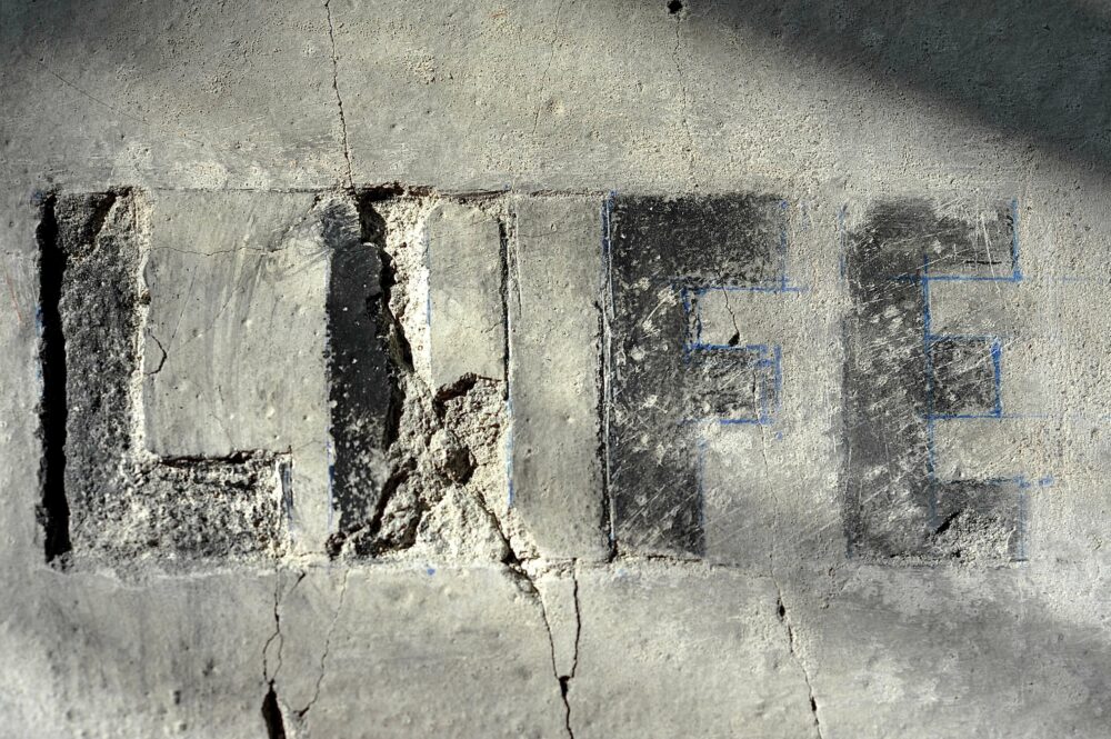 Bild aus der Ina Riepe-Reihe 