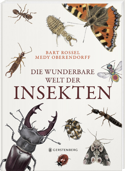 Gerstenberg Verlag Die wunderbare Welt der Insekten