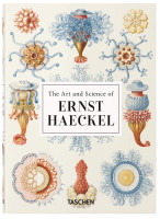 Ernst Haeckel (Rainer Willmann, Julia Voss) | Taschen Vlg. 