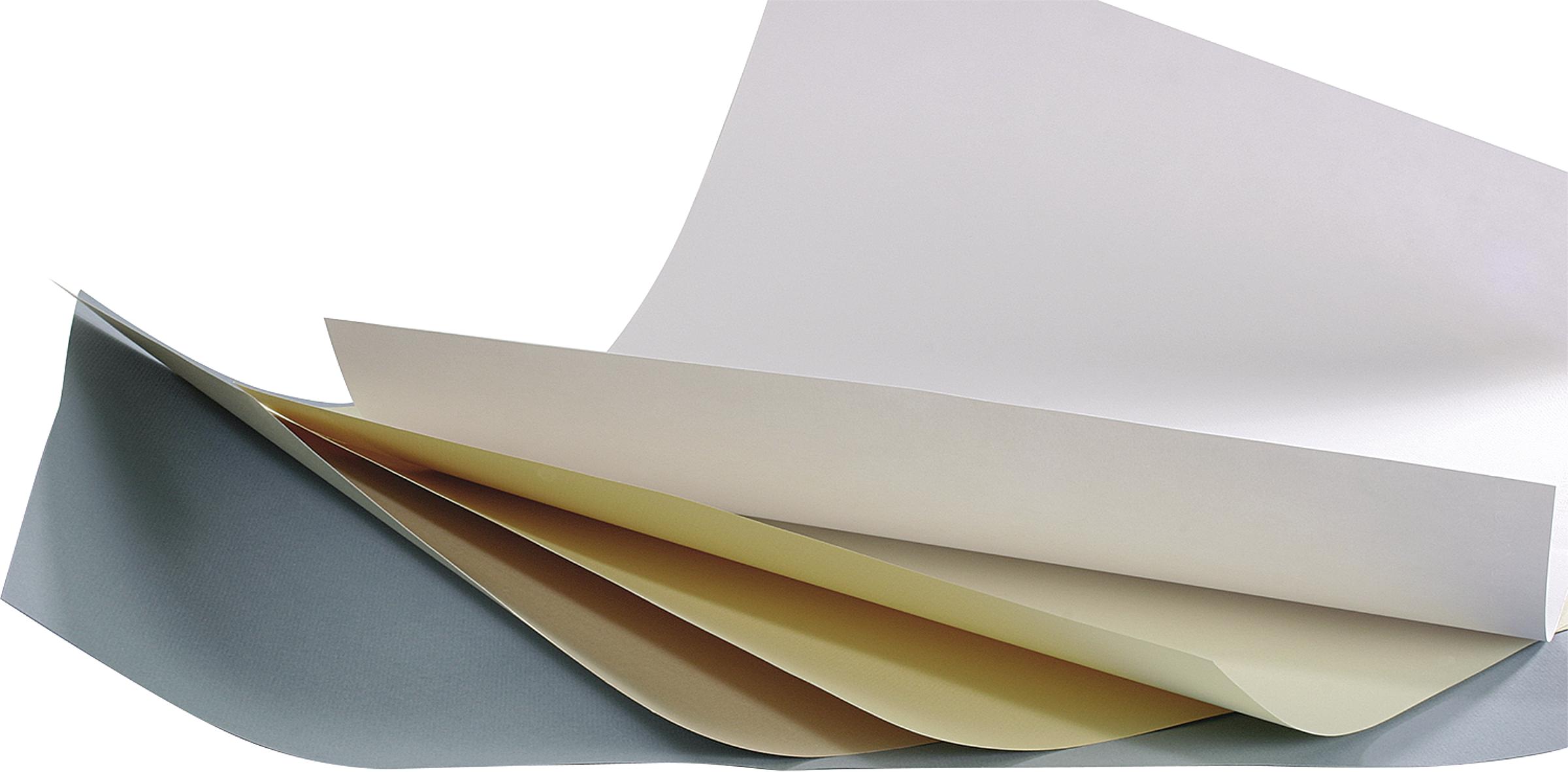 Canson Papier buvard 50 x 65 cm - 250 g/m² - Boesner