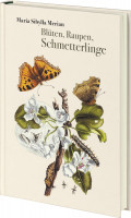 Blüten, Raupen, Schmetterlinge (Maria Sibylla Merian) | Favoritenpresse