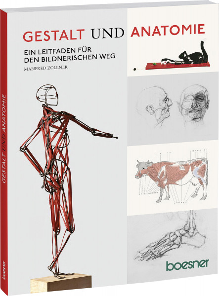 boesner GmbH holding + innovations (Hrsg.) Gestalt und Anatomie