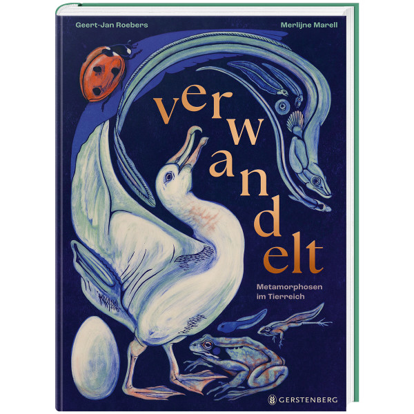 Gerstenberg Verlag verwandelt