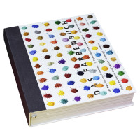 Das Farbenbuch | Muntwyler, Lipscher, Schneider (Hrsg.) | alataverlag 2023