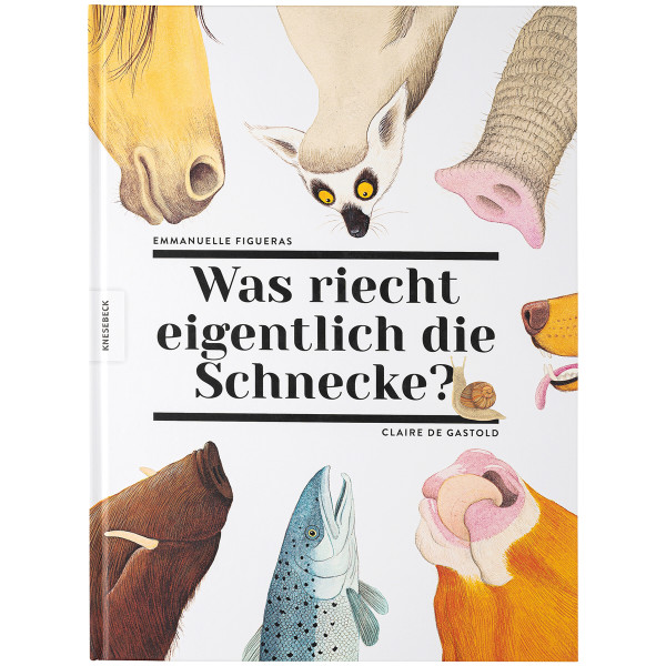 Knesebeck Verlag Was riecht eigentlich die Schnecke?