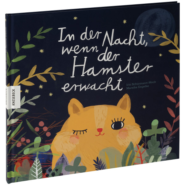 Knesebeck Verlag In der Nacht, wenn der Hamster erwacht