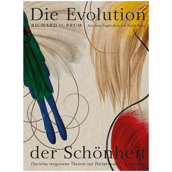 Matthes & Seitz Verlag Die Evolution der Schönheit
