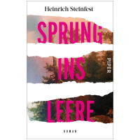 Sprung ins Leere | Heinrich Steinfest | Piper 2024