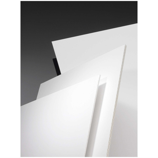 Boesnertest Dispa® Papierplatte