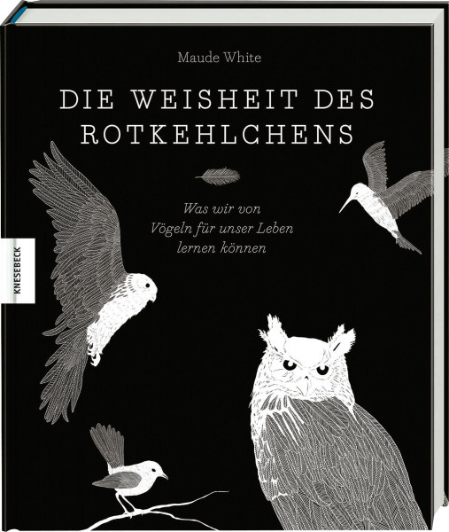 Knesebeck Verlag Die Weisheit des Rotkehlchens
