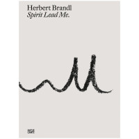 Herbert Brandl | Spirit lead me | Hatje Cantz 2023