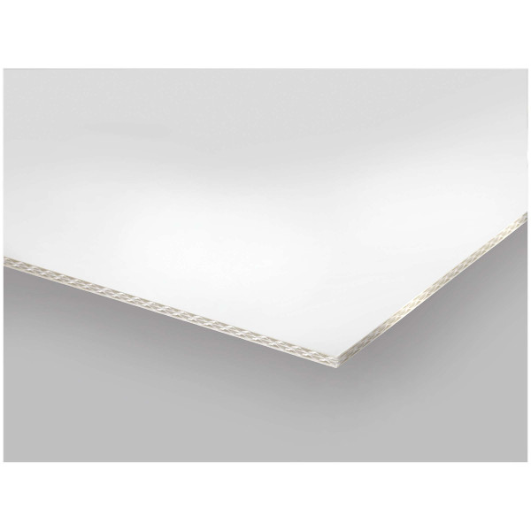 Boesnertest Dispa® Papierplatte