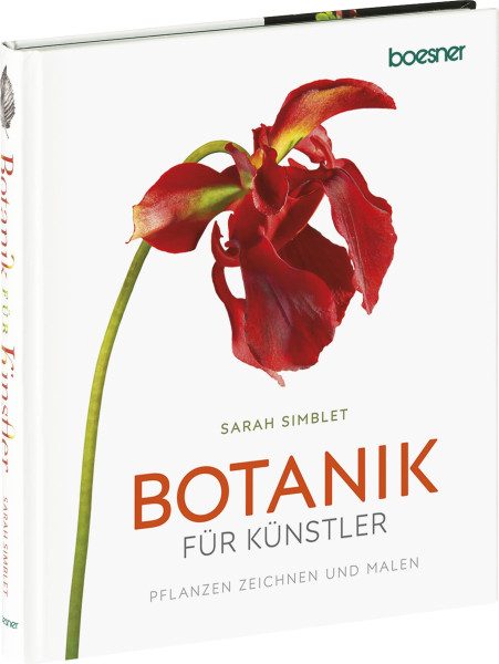boesner GmbH holding + innovations Botanik für Künstler