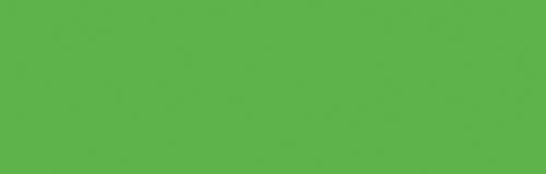 Veronese Green