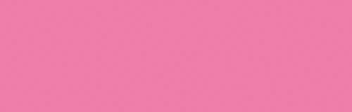 Pastel Rose