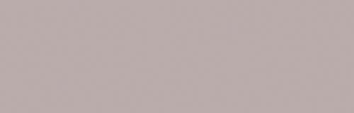 Warm Grey 03
