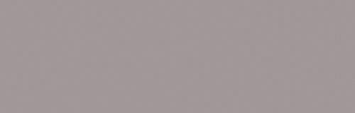 Warm Grey 04