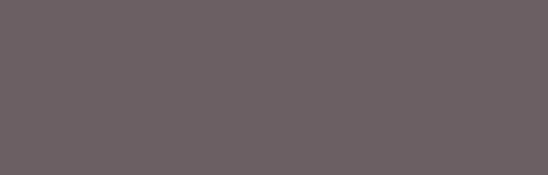 Warm Grey 06
