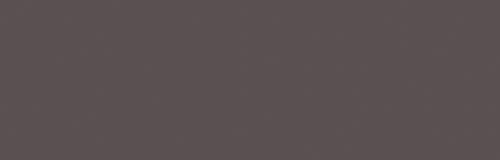 Warm Grey 07