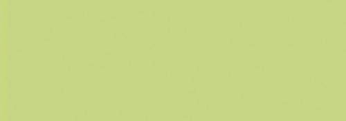 Fluorescent Yellow Green