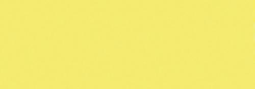 Canary Yellow