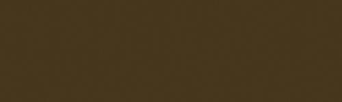 Raw Umber