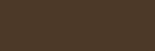 Raw Umber