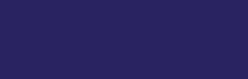 Bright Plum