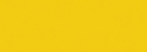 Dark Yellow