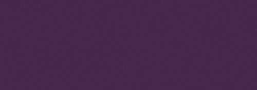 Dark Violet